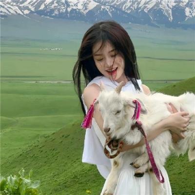 熊熊遇见小小鼠